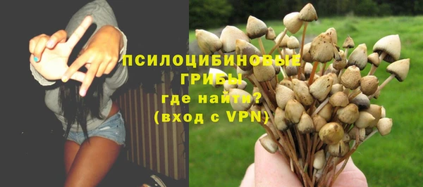 spice Армянск