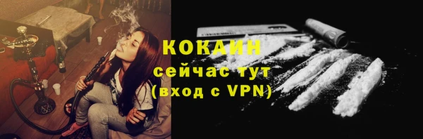 шишки Аркадак