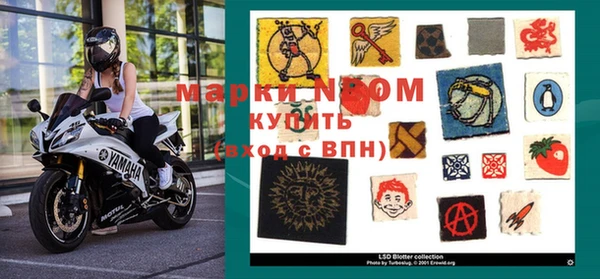 шишки Аркадак