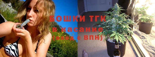шишки Аркадак