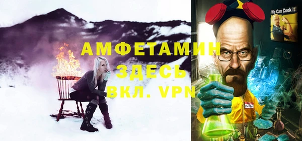шишки Аркадак