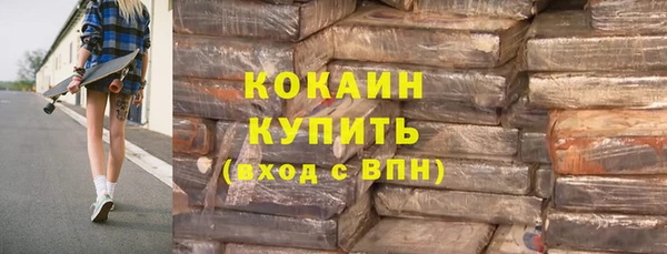 шишки Аркадак