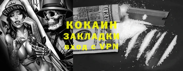 шишки Аркадак
