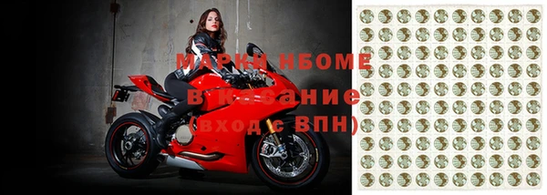 шишки Аркадак