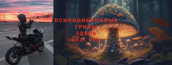 метадон Арсеньев