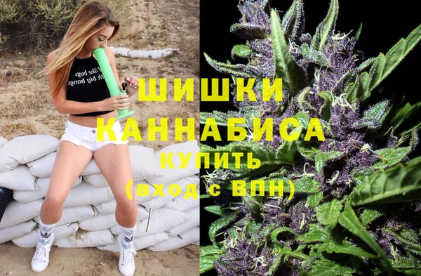 шишки Аркадак
